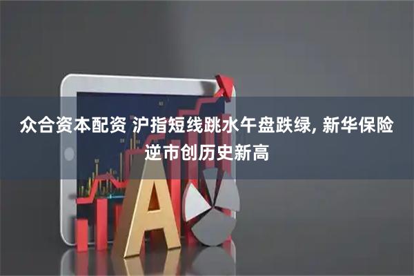 众合资本配资 沪指短线跳水午盘跌绿, 新华保险逆市创历史新高