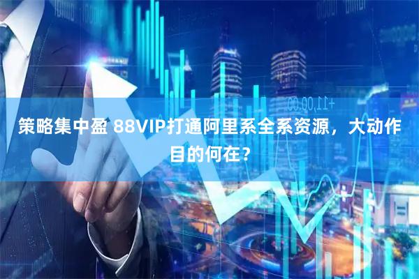 策略集中盈 88VIP打通阿里系全系资源，大动作目的何在？