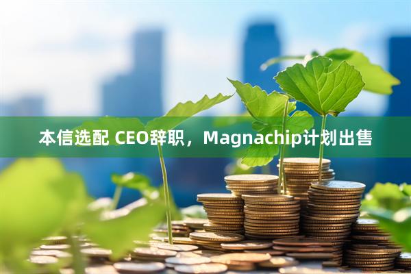 本信选配 CEO辞职，Magnachip计划出售