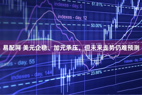 易配网 美元企稳、加元承压，但未来走势仍难预测