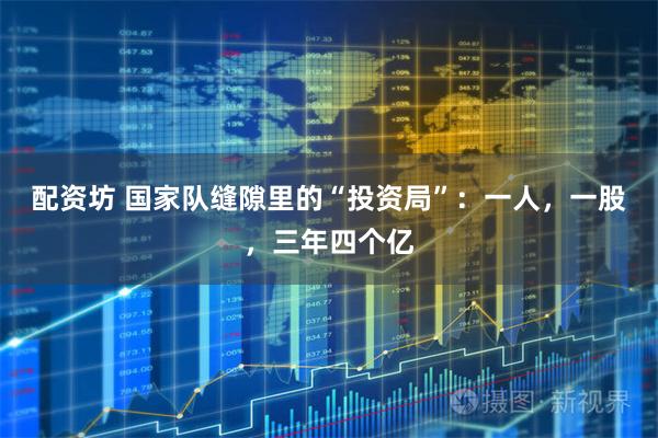 配资坊 国家队缝隙里的“投资局”：一人，一股，三年四个亿